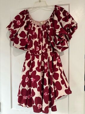 Altar'd State Pink and Red Floral Puff-Sleeve Dress